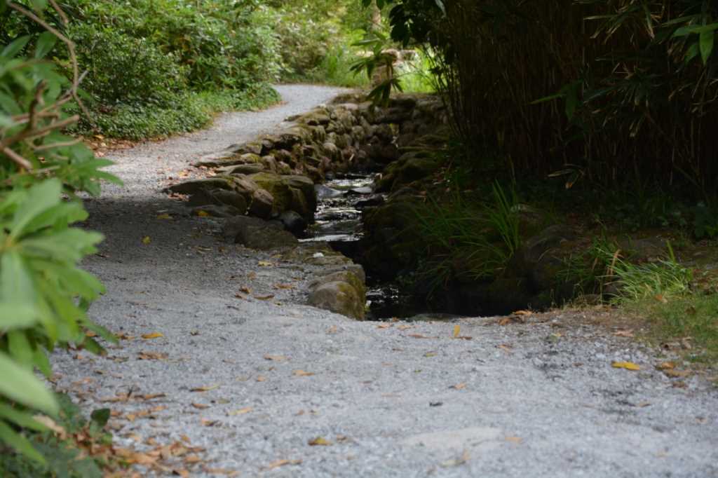 DSC_5242Mittel_.JPG